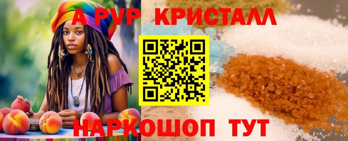 Беслан  Alpha PVP крисы CK  закладки  Вход с VPN 
