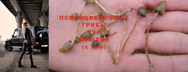 2c-b Баксан
