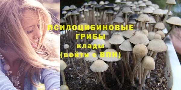 гидропоника Балахна