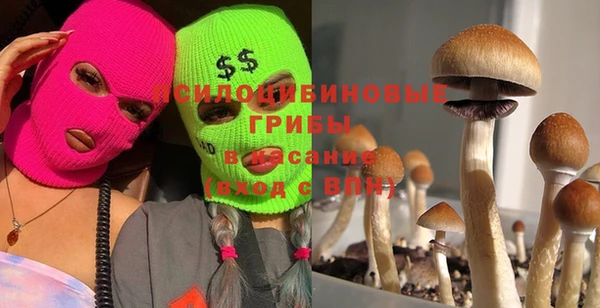 a pvp Балабаново