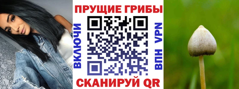 Галлюциногенные грибы Magic Shrooms Беслан