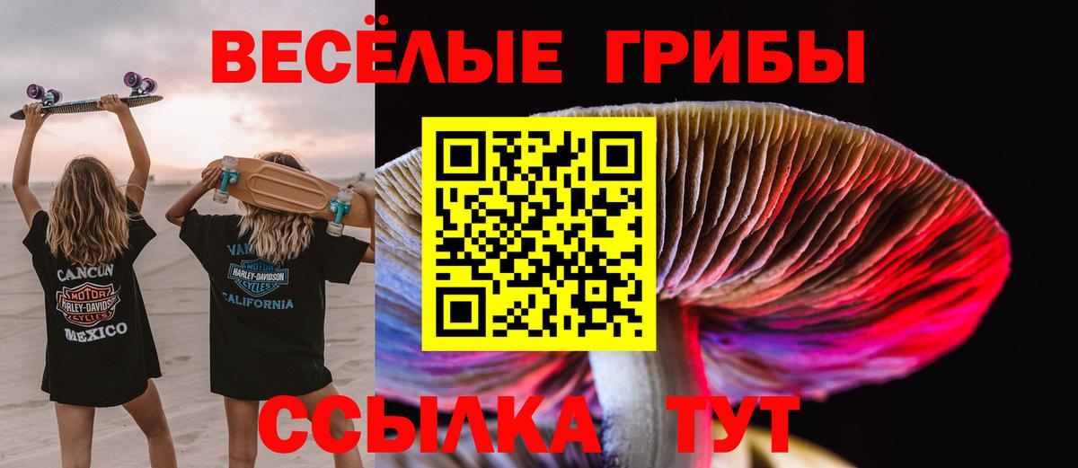 Псилоцибиновые грибы мухоморы  Вход с VPN  Псилоцибиновые грибы Psilocybe  Беслан 